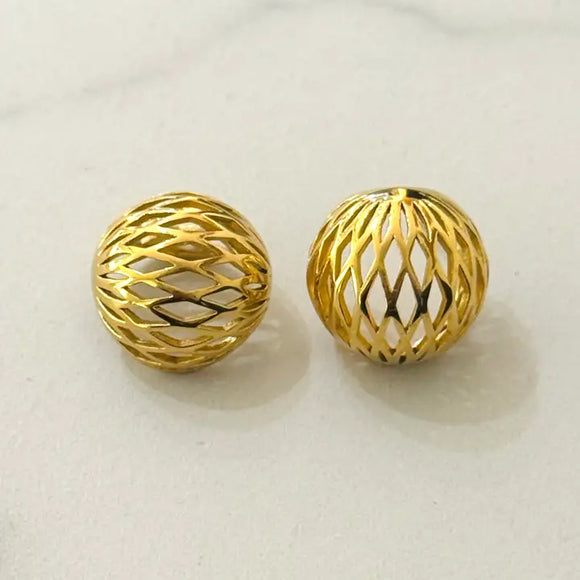 Faure Stainless Steel Earrings 