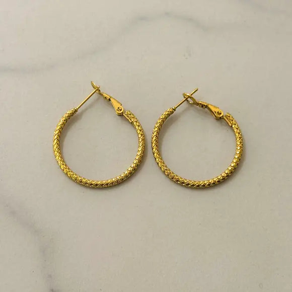 Roi Stainless Steel Hoop Earrings 