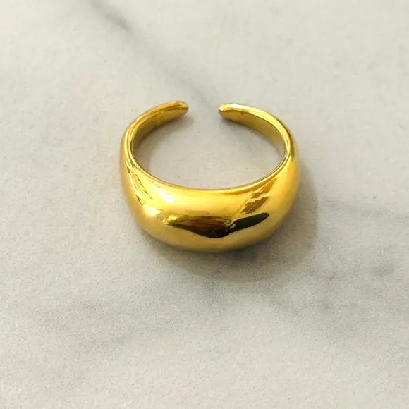 Moleno Stainless Steel Ring 