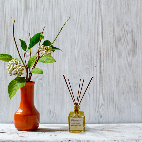 Eco Reed Diffuser — Cinnamon & Orange